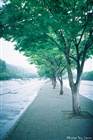 dailyPhoto20